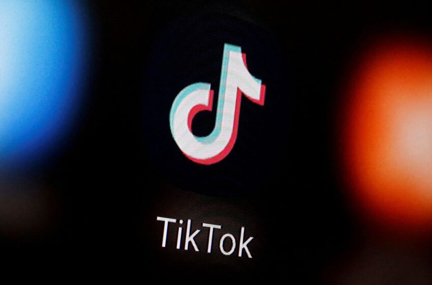  TikTok starts restoring service as Trump confirms he will pause US ban