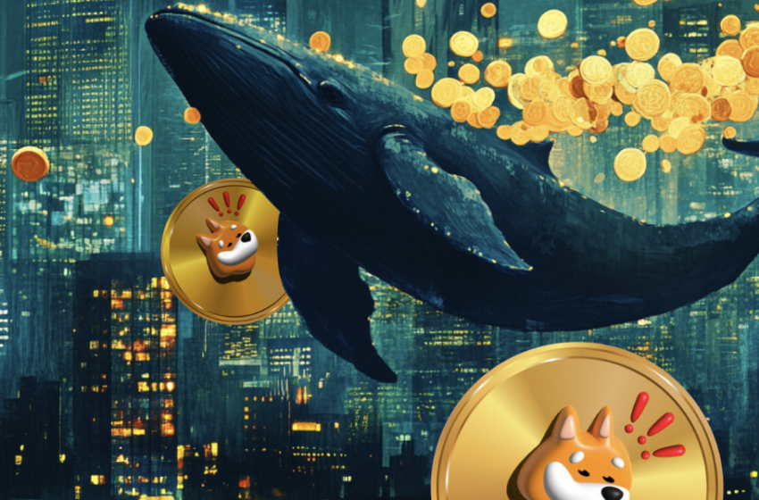 three-crypto-assets-you-need-to-be-holding-in-january-2025:-bonk,-dogecoin-and-remittix