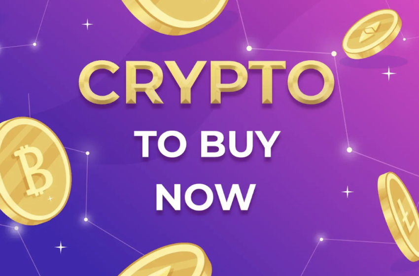  Crypto to Buy Now: Top Hidden Gems & Future Giants