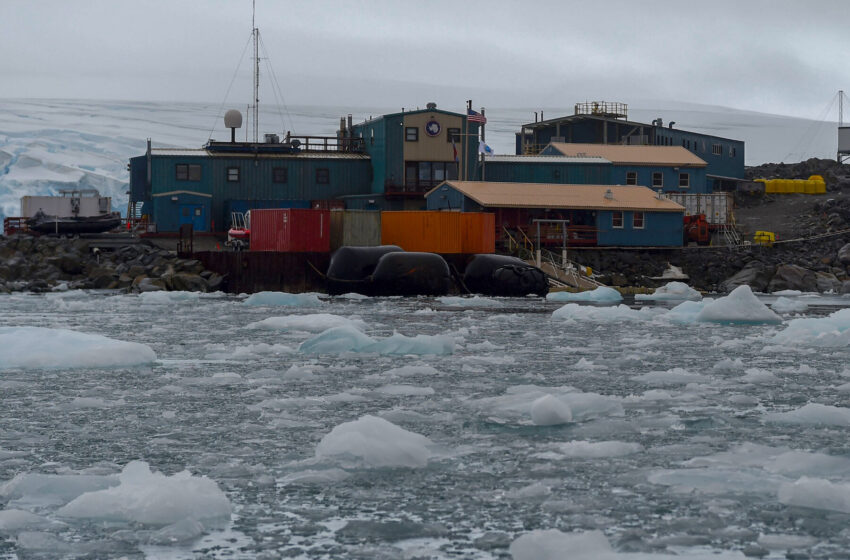  Buffalo Bills Fans Have It Tough, Especially in Antarctica