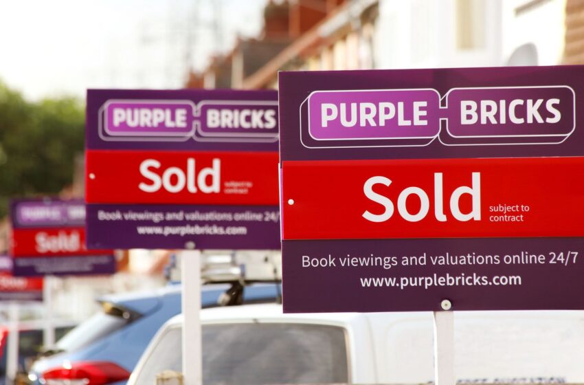  Online estate agent Purplebricks rents Mitchell as interim chief