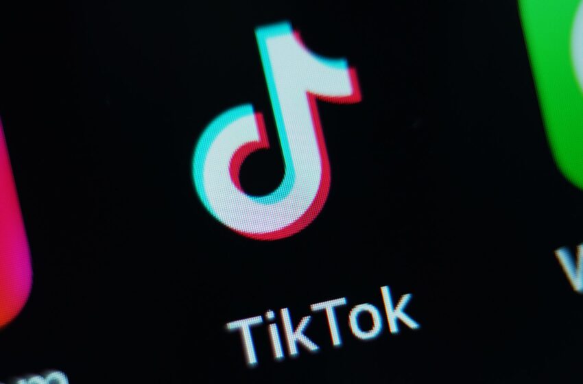  TikTok remains banned on government devices – despite new official account