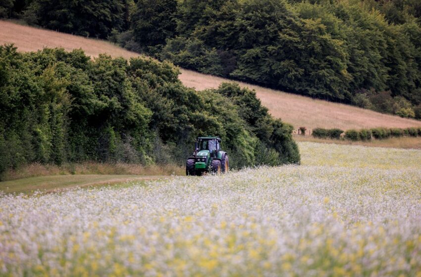  Farmers’ inheritance tax creates ‘chilling effect’ on nature recovery scheme, ex-government legal adviser says