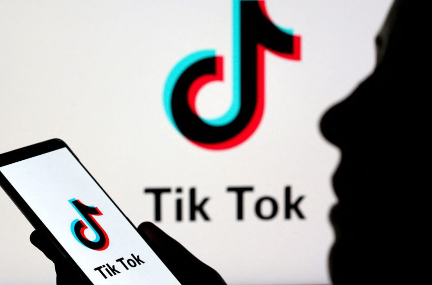  TikTok returns to major US app stores after Trump reassures tech giants