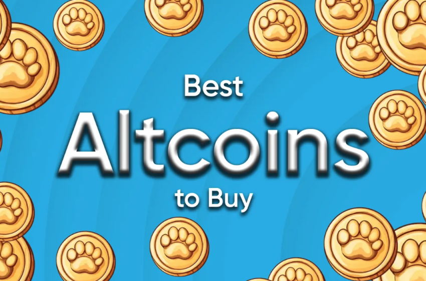  Best Altcoins to Buy Before They Outperform Bitcoin in the Next Bull Run