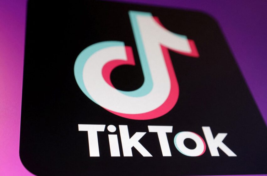 tiktok-and-reddit-investigated-over-use-of-children’s-data