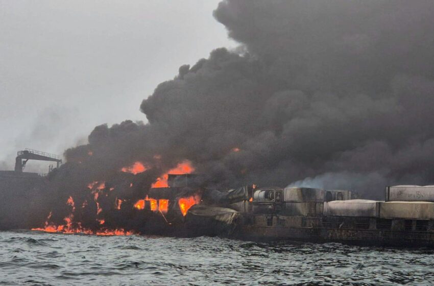  Jet fuel and sodium cyanide: How ship crash could have lethal consequences for wildlife