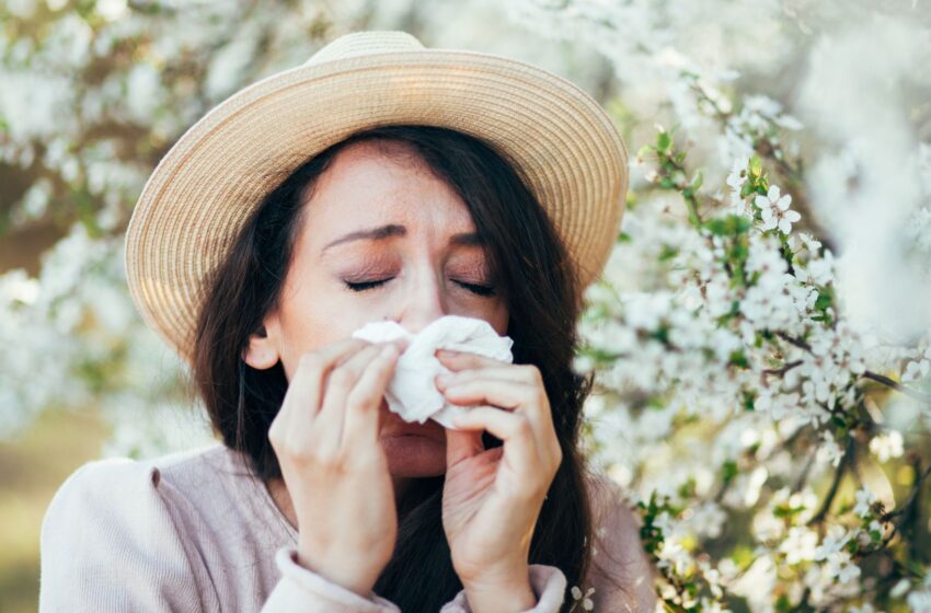 why-hay-fever-is-worse-this-year-–-and-what-you-can-do-about-it